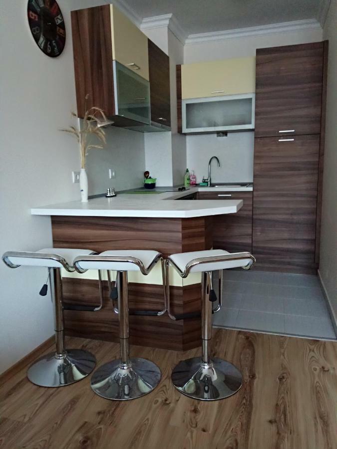 Denitsa Apartment Borovets Buitenkant foto
